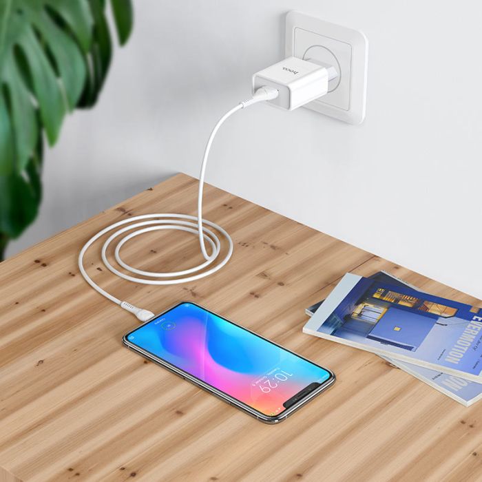 Мережевий зарядний пристрій Hoco C81A 1 USB 2.1A Micro білий