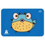 Карта пополнения Timekettle Fish Card x30 для переводчиков WT2, M3, Офлайн пакет языков